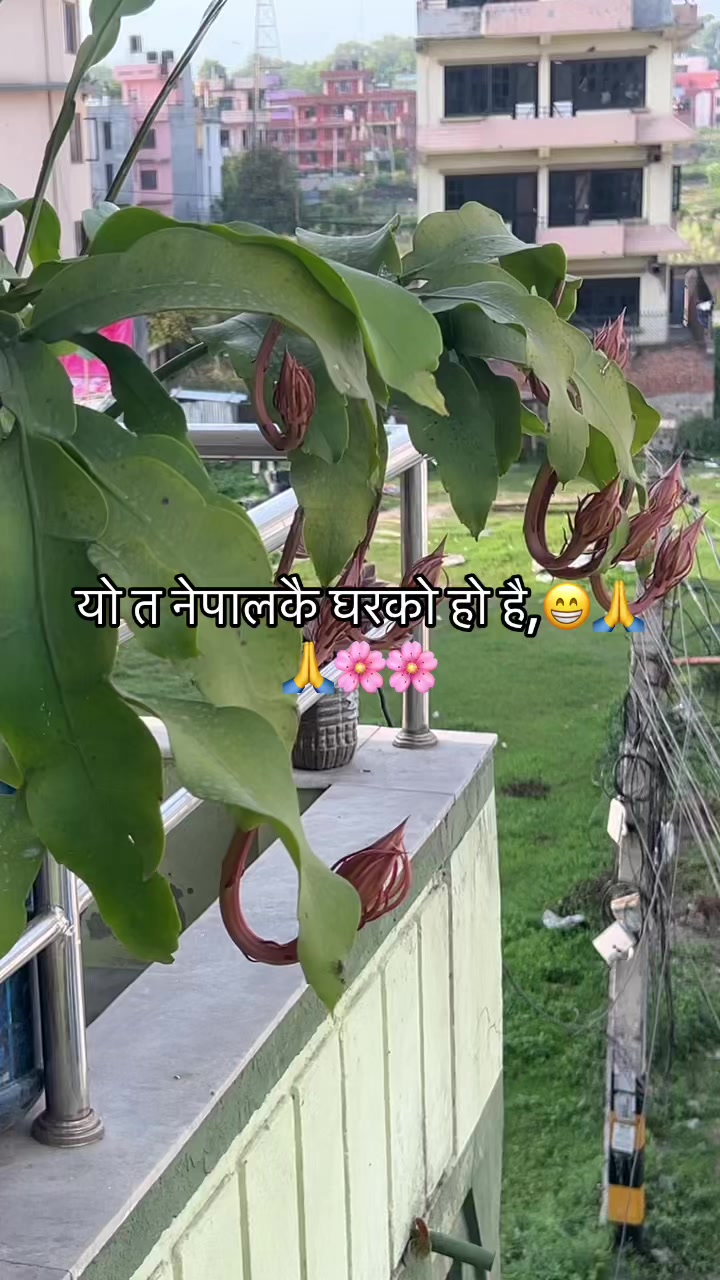 @Sunita Nepal 🇬🇧