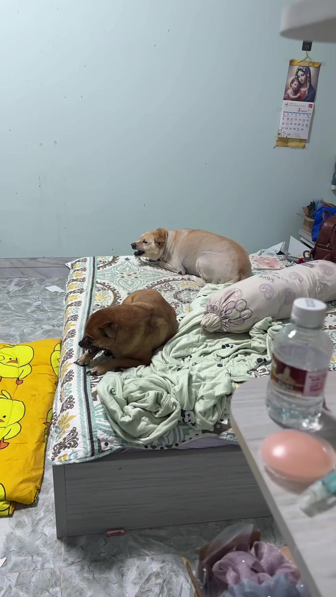 @Linky Hồ