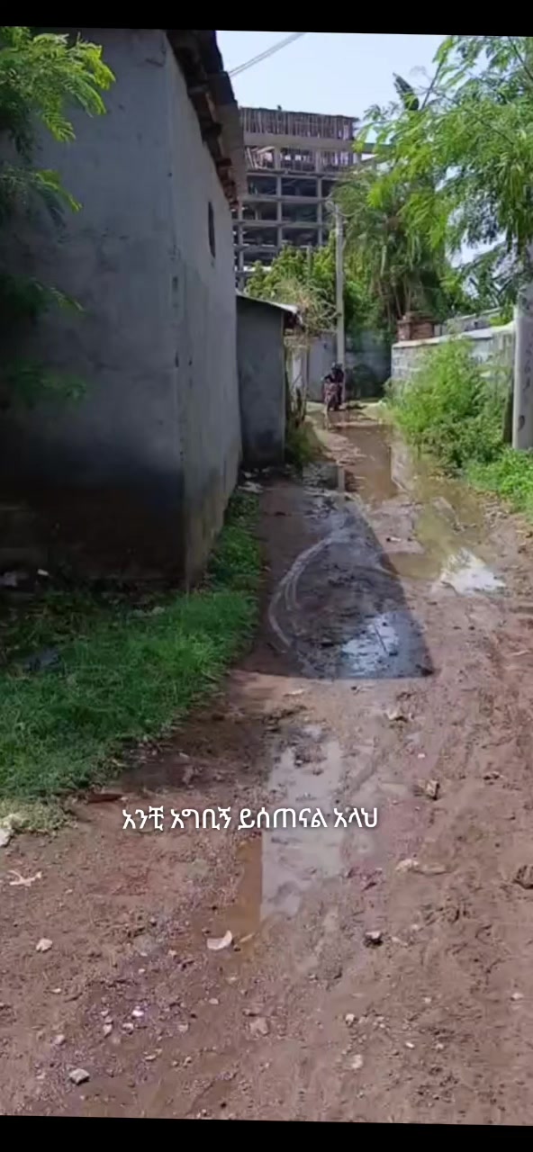 @ቤካ xo🦅