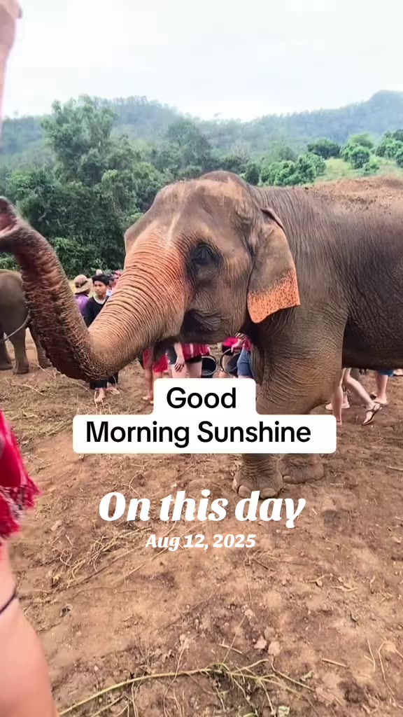@☀️ Good Morning Sunshine ☀️