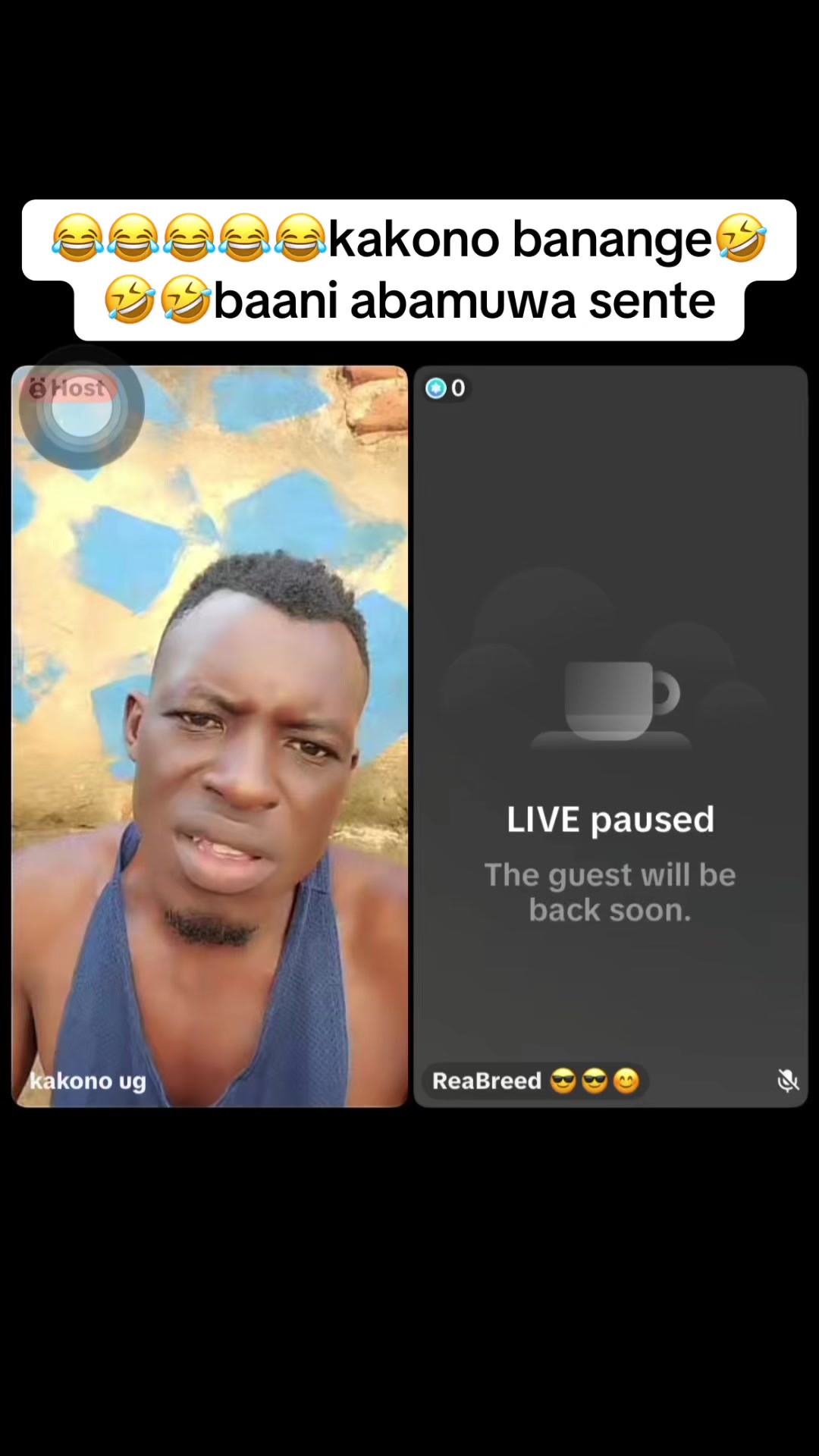 @dailytrends256