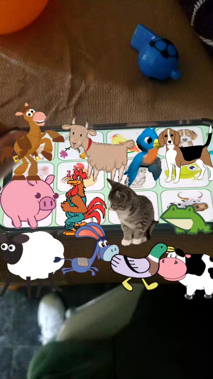 @Super lit Animales Kids