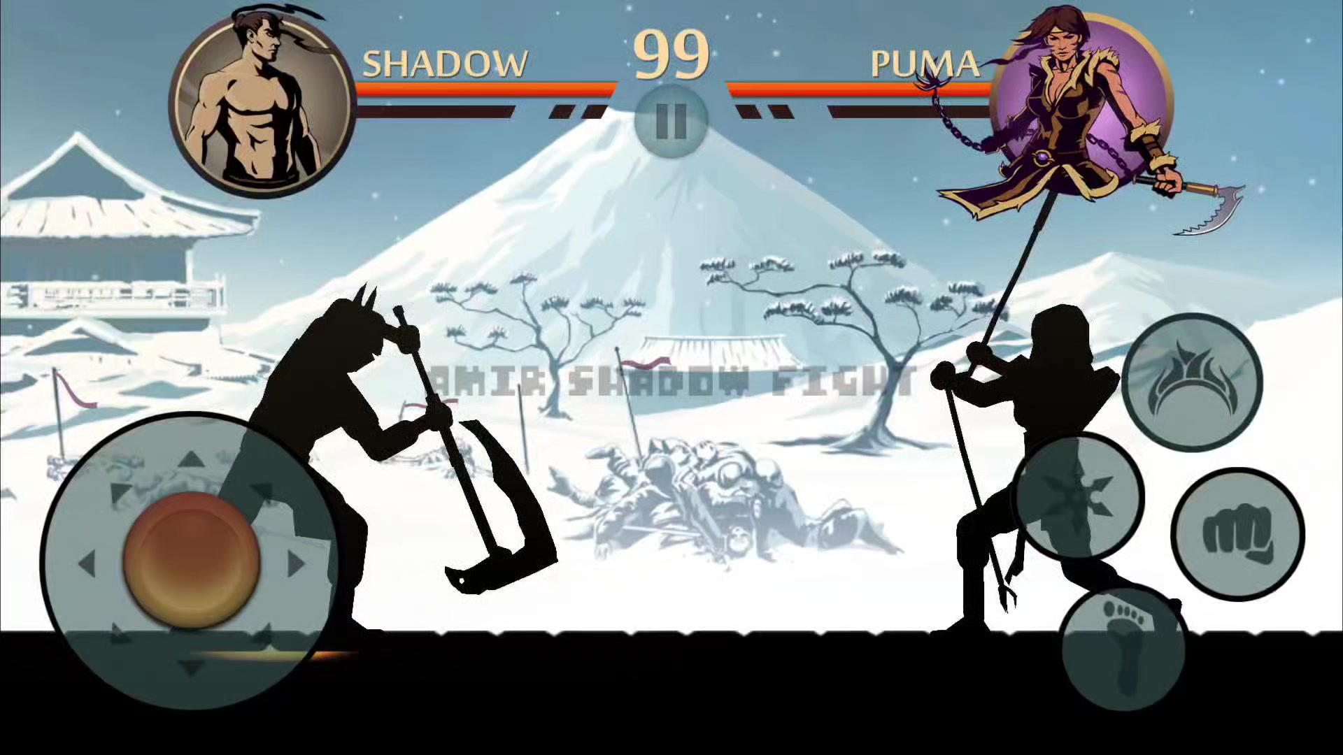 @Amir Shadow Fight