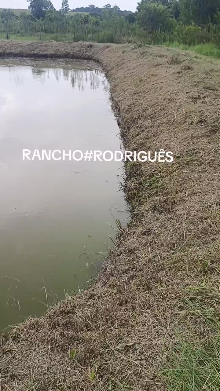 @FOGUINHO 🔥