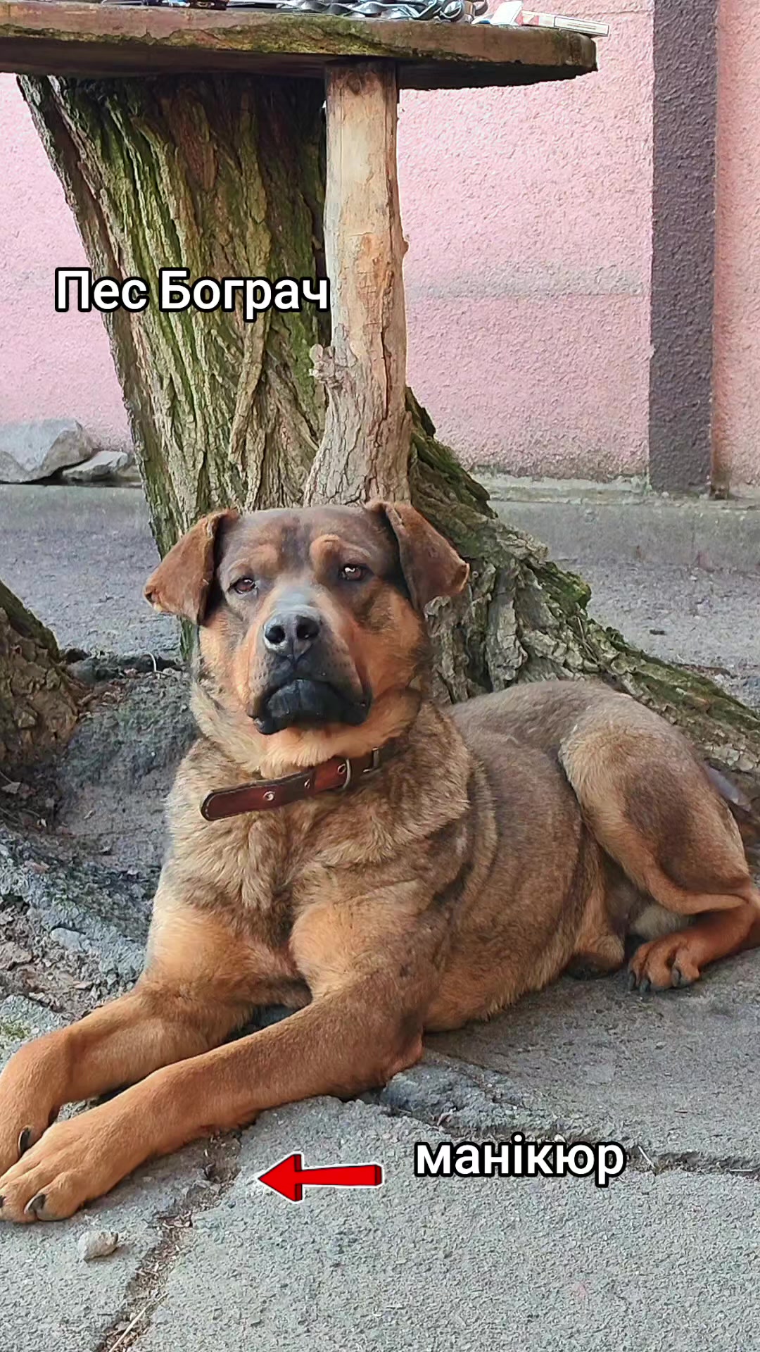 @Макс и Джесси