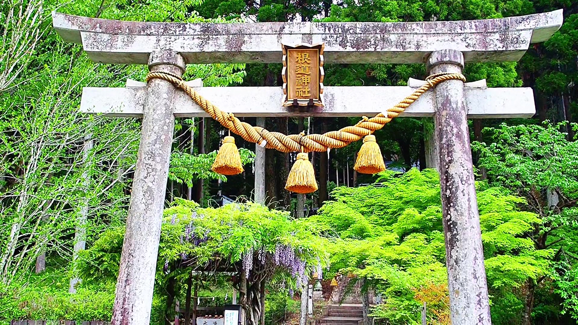 @Nhật Bản du ký