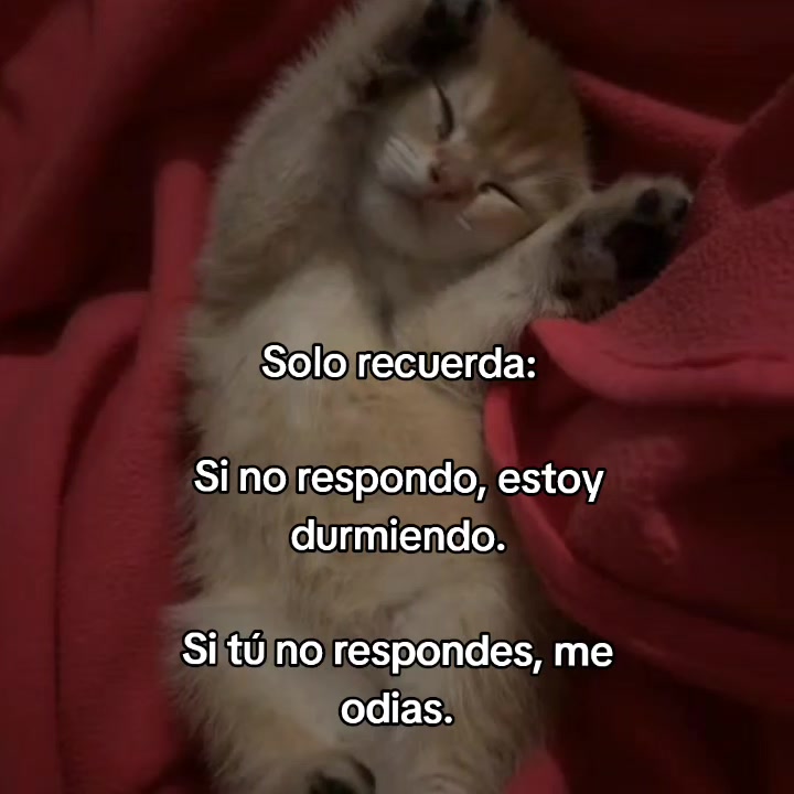 @goodvibessxd