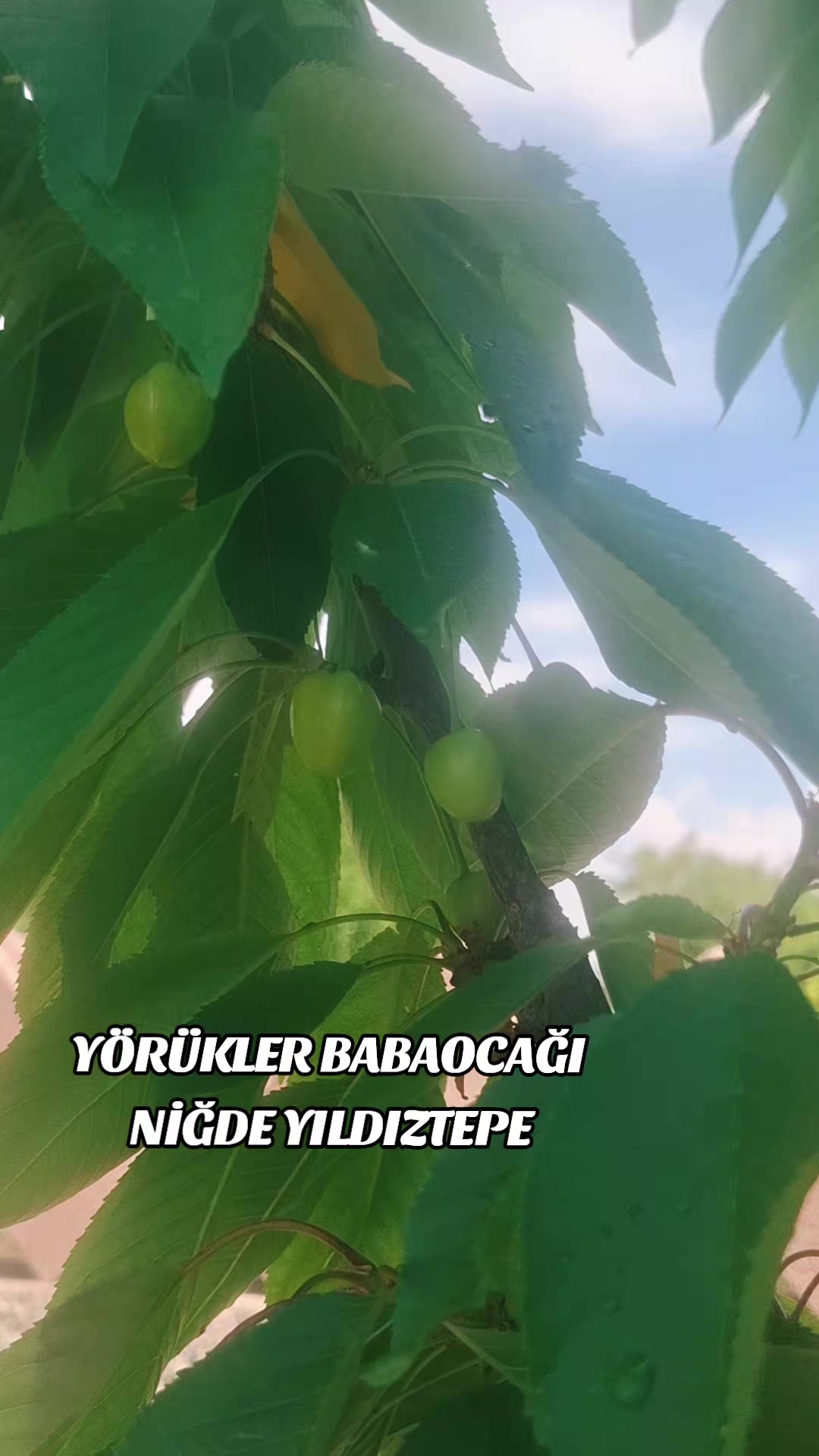 @𝙈𝙐𝙍𝘼𝙏 𝙆𝘼𝙔𝘼𝙃𝘼𝙉 🇹🇷