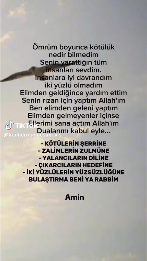 @efsane 3_6_9