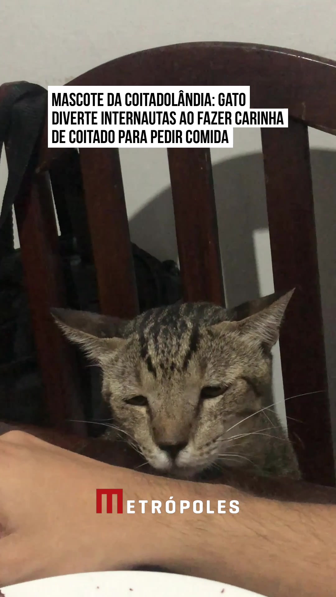 @Metr&oacute;poles Oficial