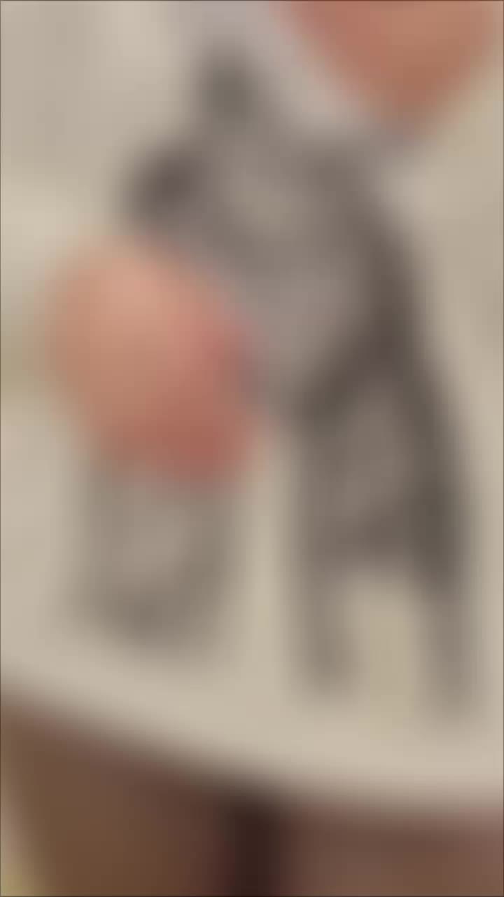 @melekmercan05