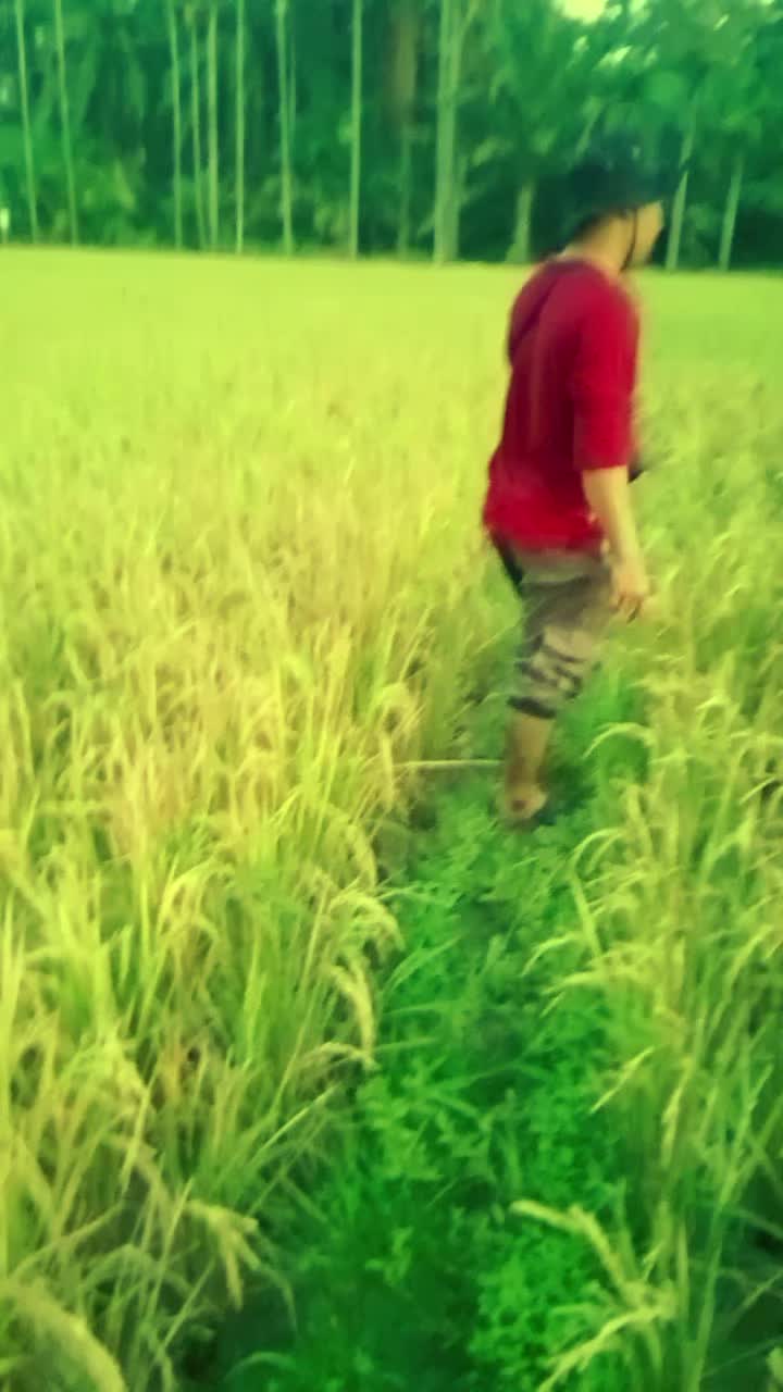 @Tabassam
