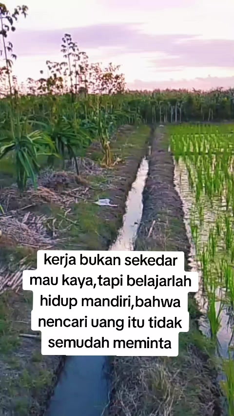 @Dwi Yanie29