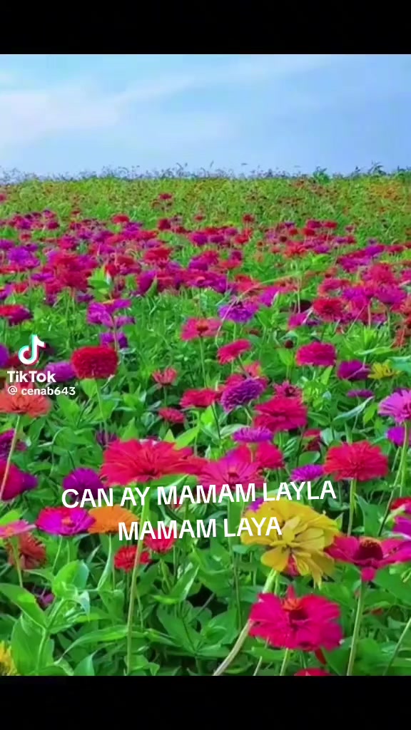 @Ramin Isgenderli