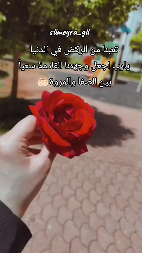 @s&uuml;meyra