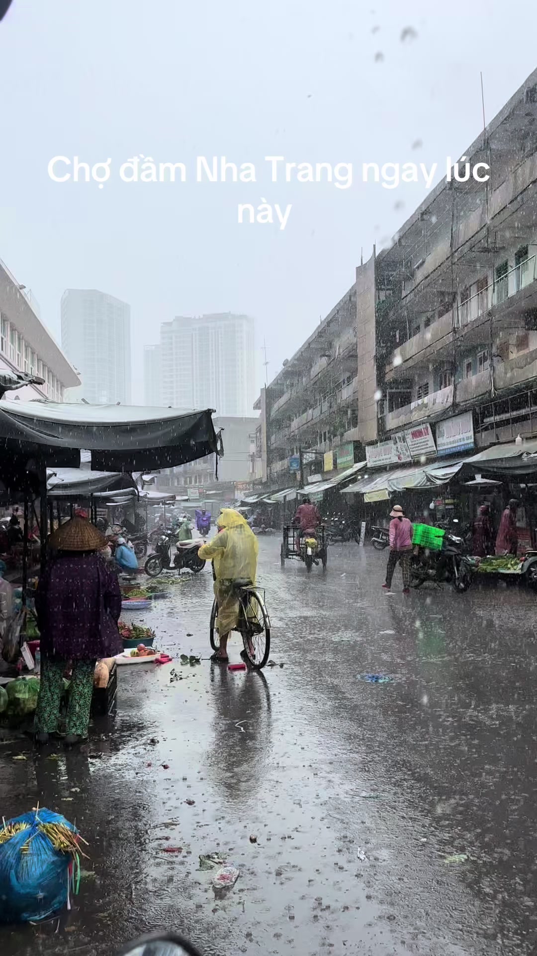 @MinhLee Nha Trang