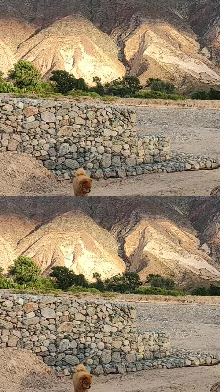 @Ruben Alberto Landaita