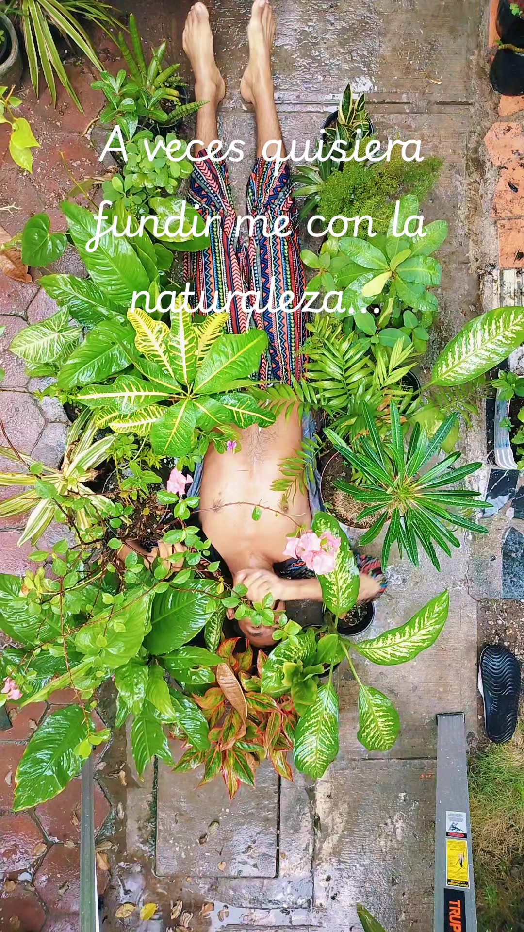 @Papi Chulo