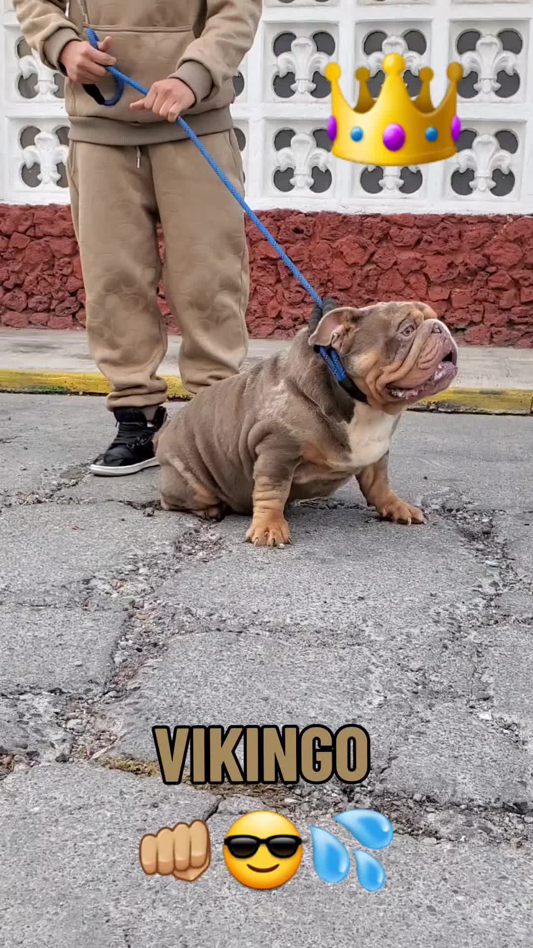 @KrlozDZ