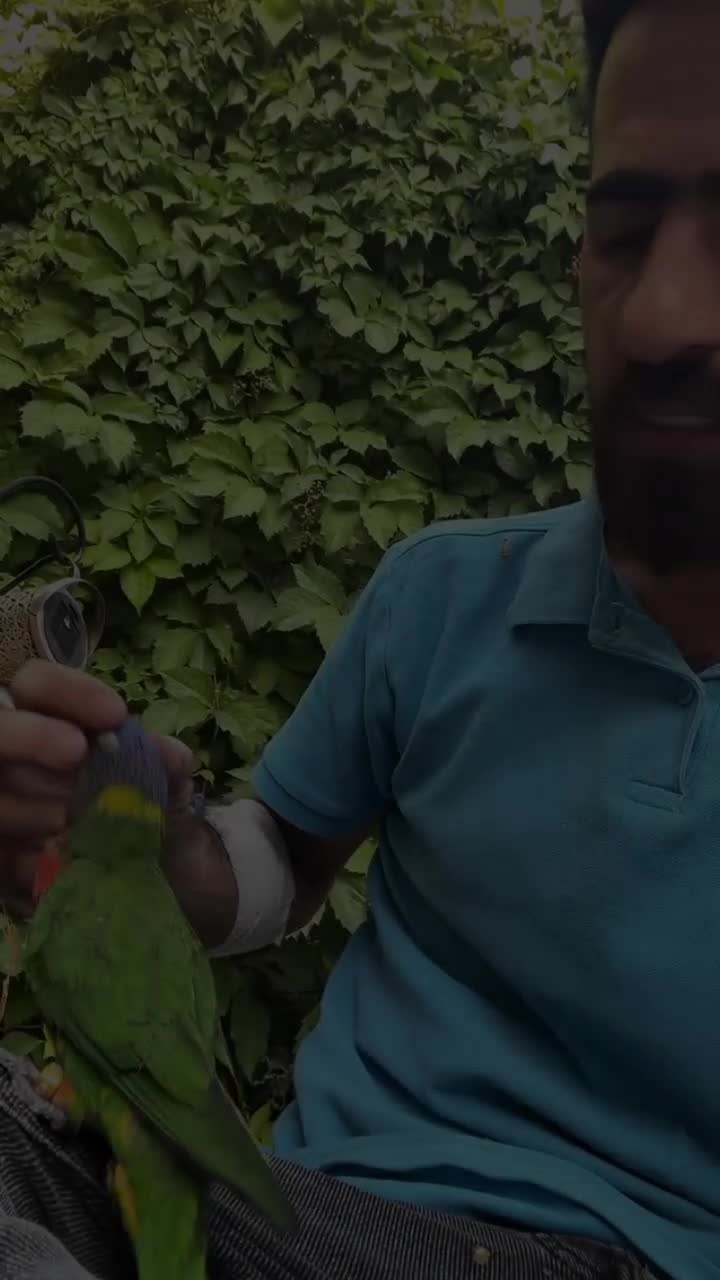 @أبو پؤلا