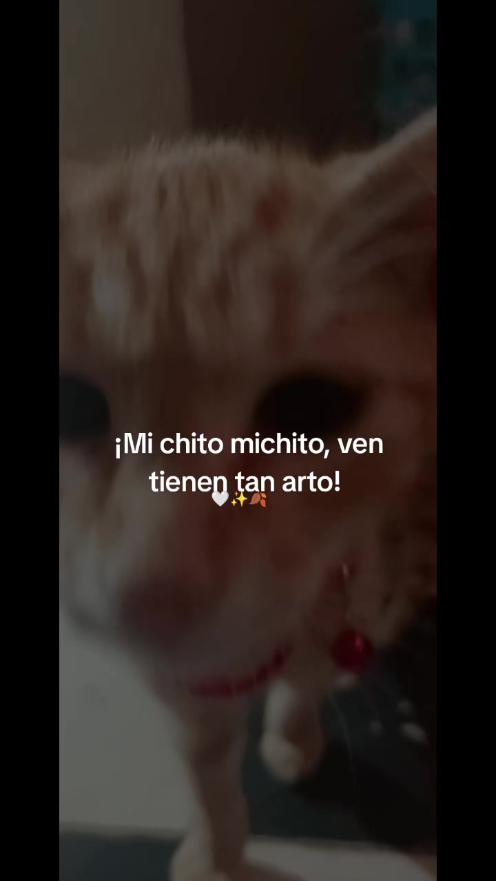 @Joss Elías