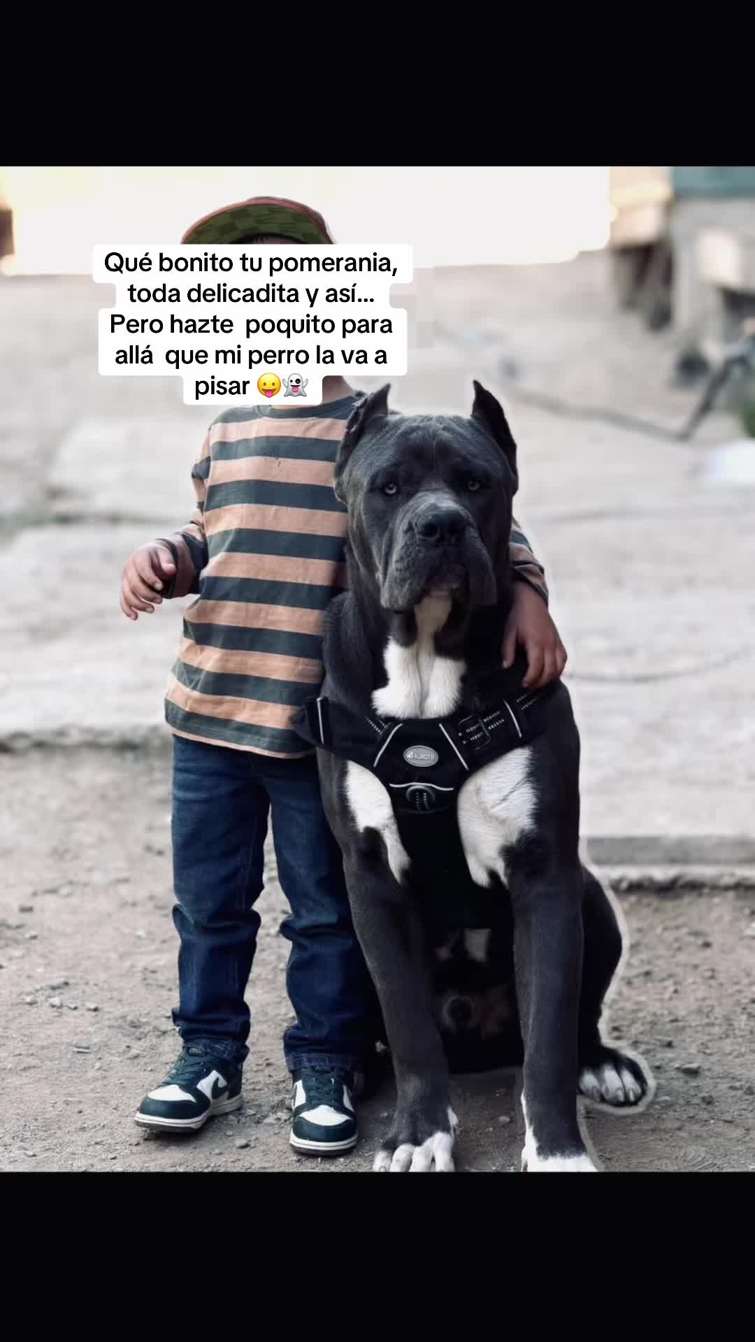 @Anahy Rocha