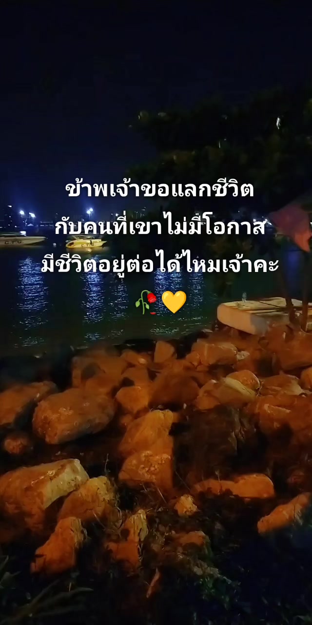 @🏳️🌈💛กุมภาพันธ์💛🏳️🌈