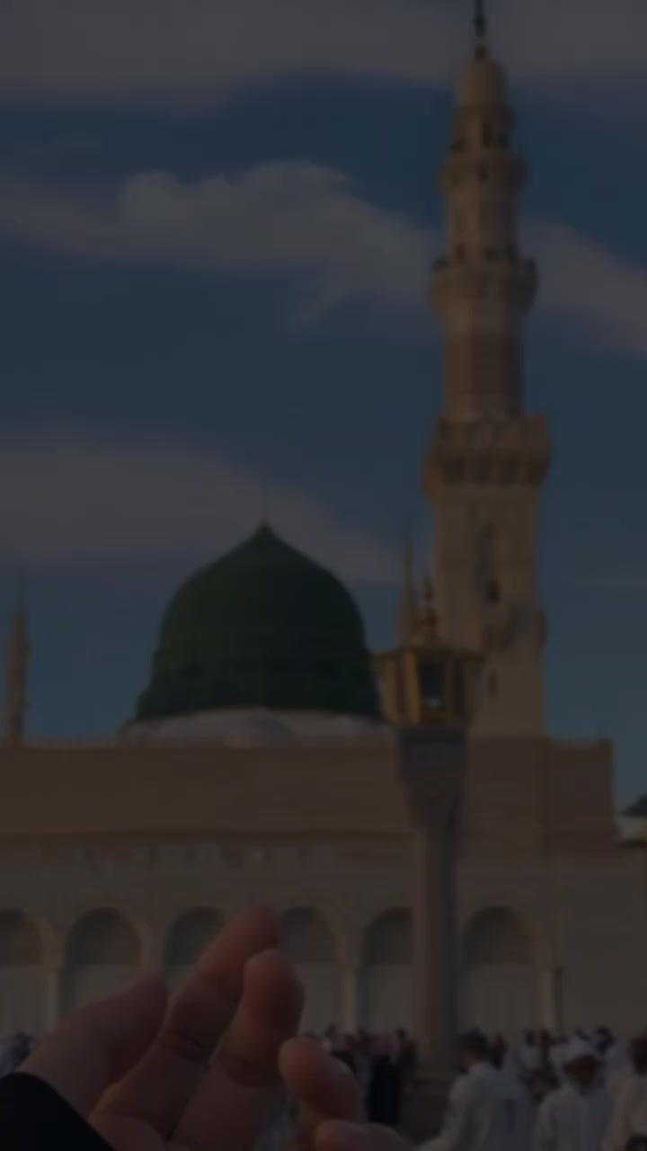 @𝙼𝚎𝚘𝚠 𝙻𝚒𝙻𝚒