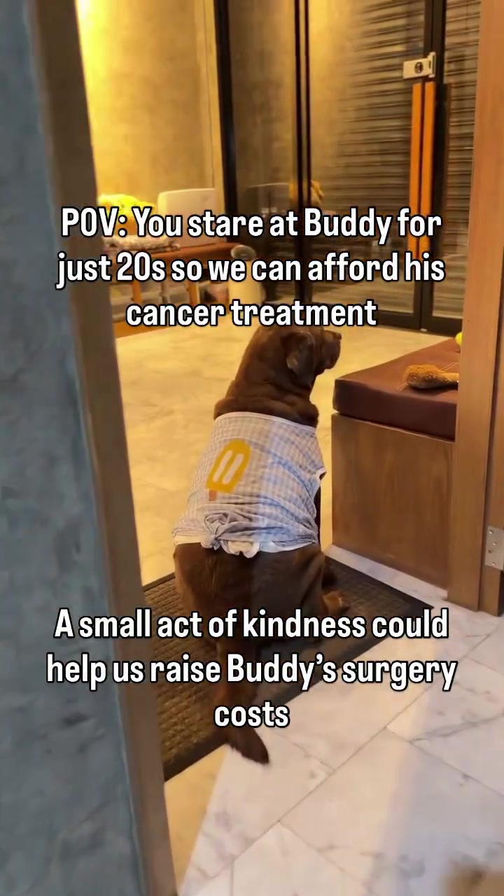 @meetlilbuddy