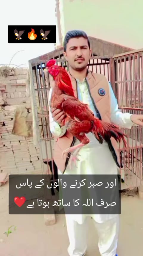 @kashifaseel2