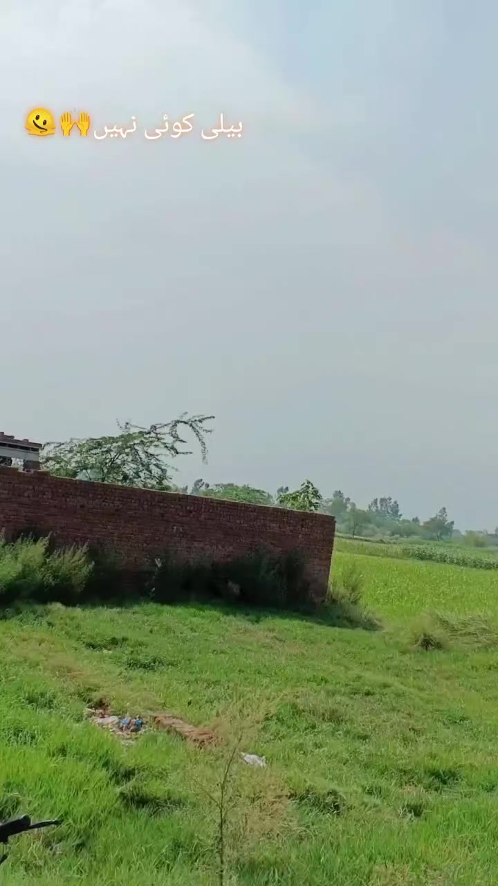 @༆☆جٹ(منڈی) آلہ☆
