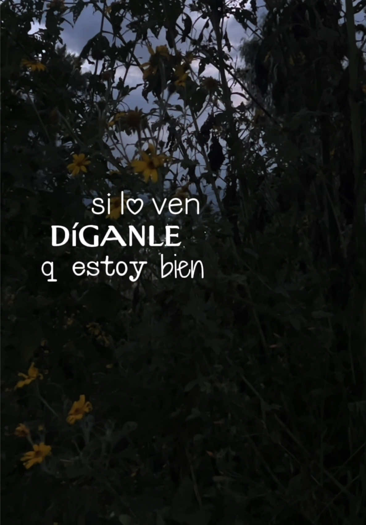 @Celeste RSH