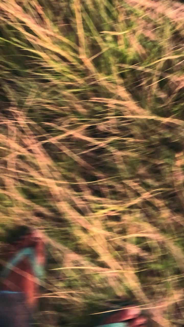 @𝐄𝐯𝐚𝐧🍁