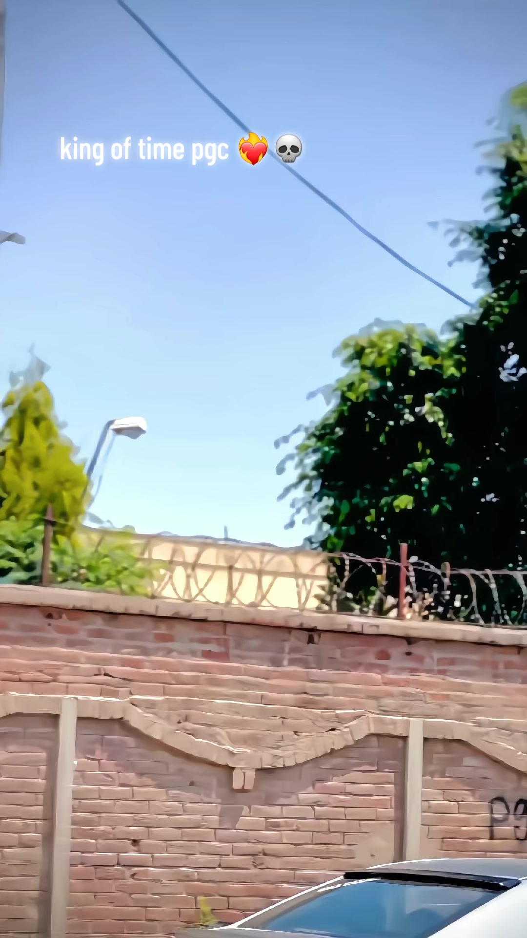 @punjabianz
