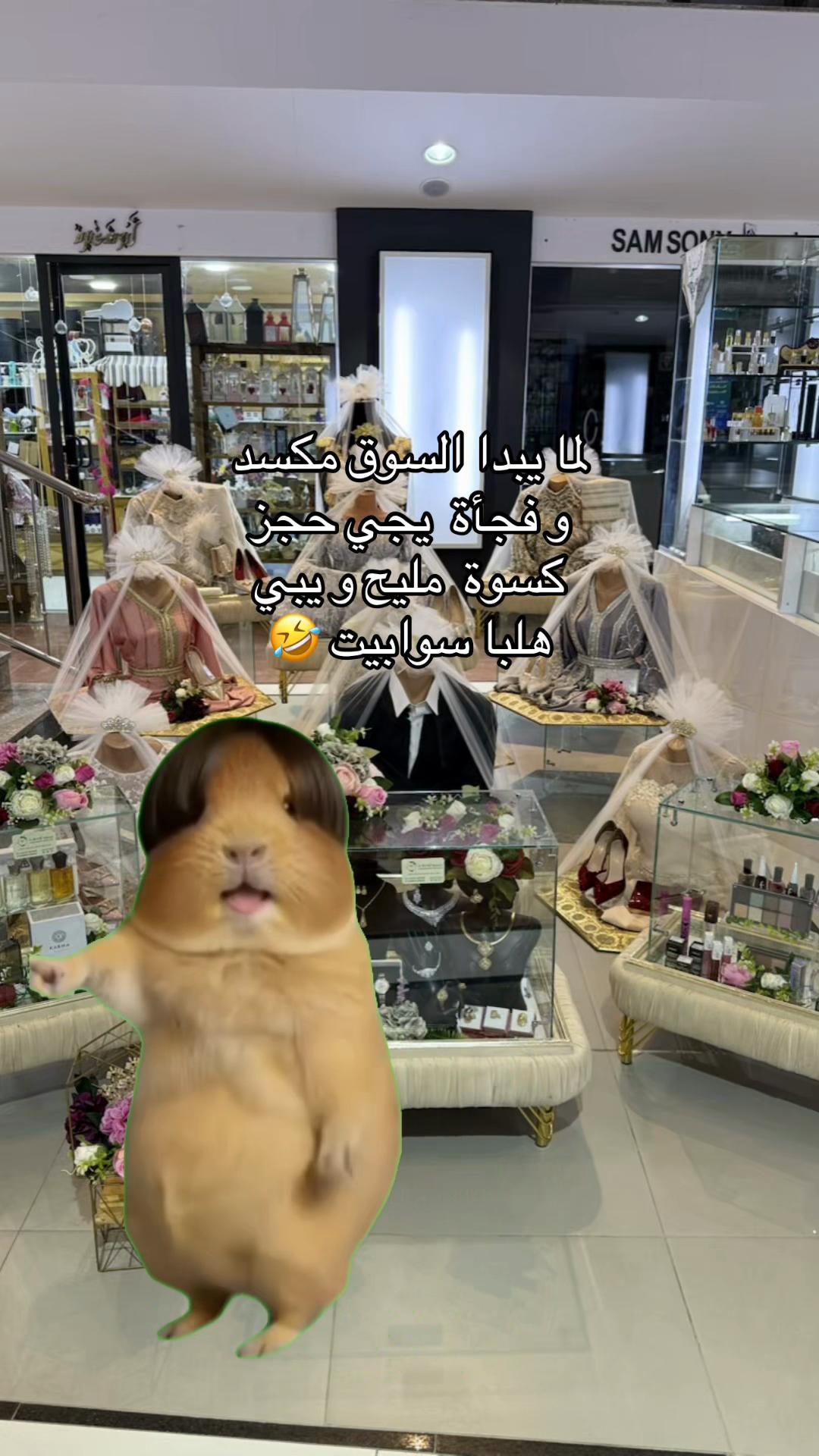 @محمود أوصافه