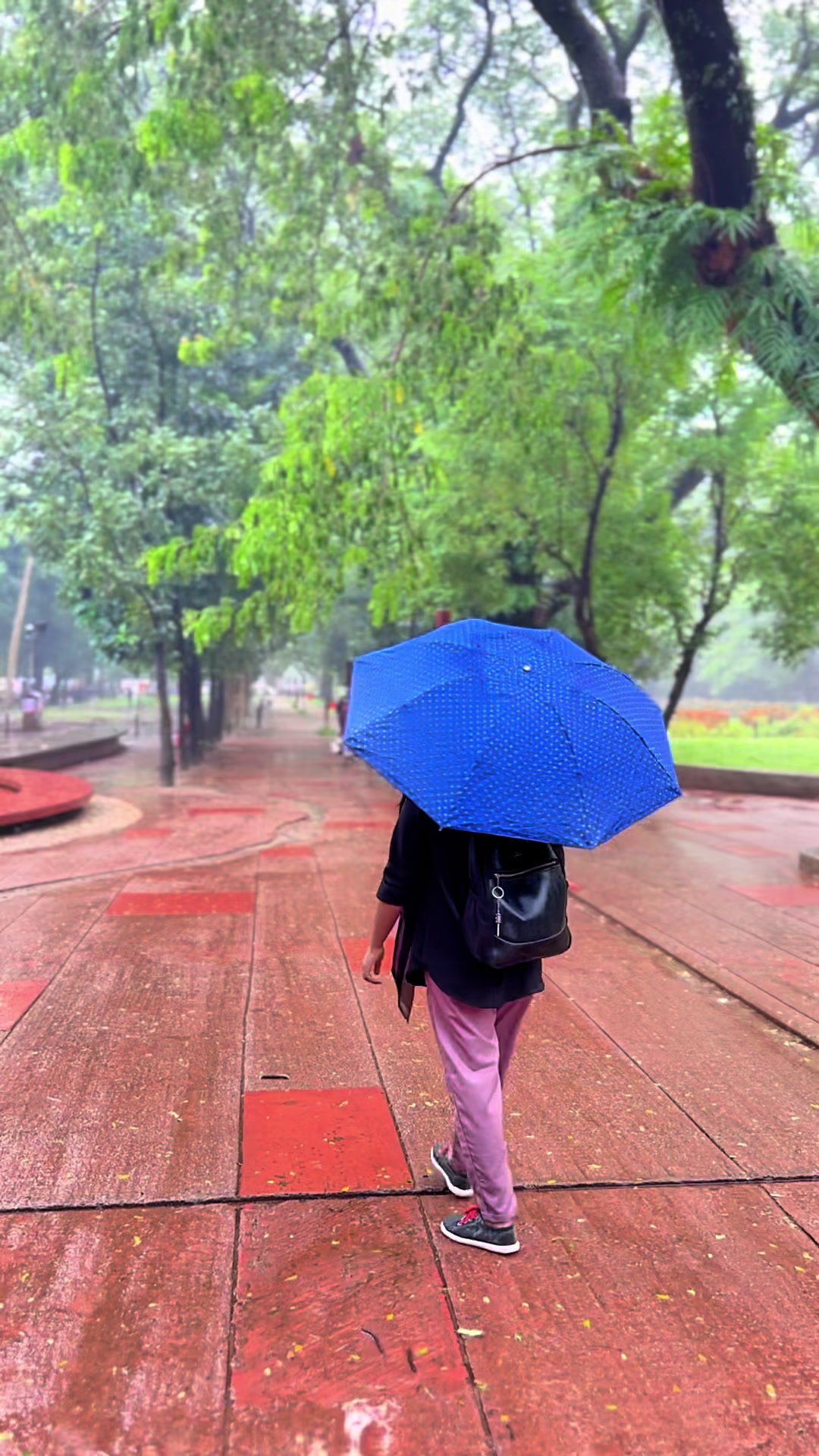 @sabiha_smriti