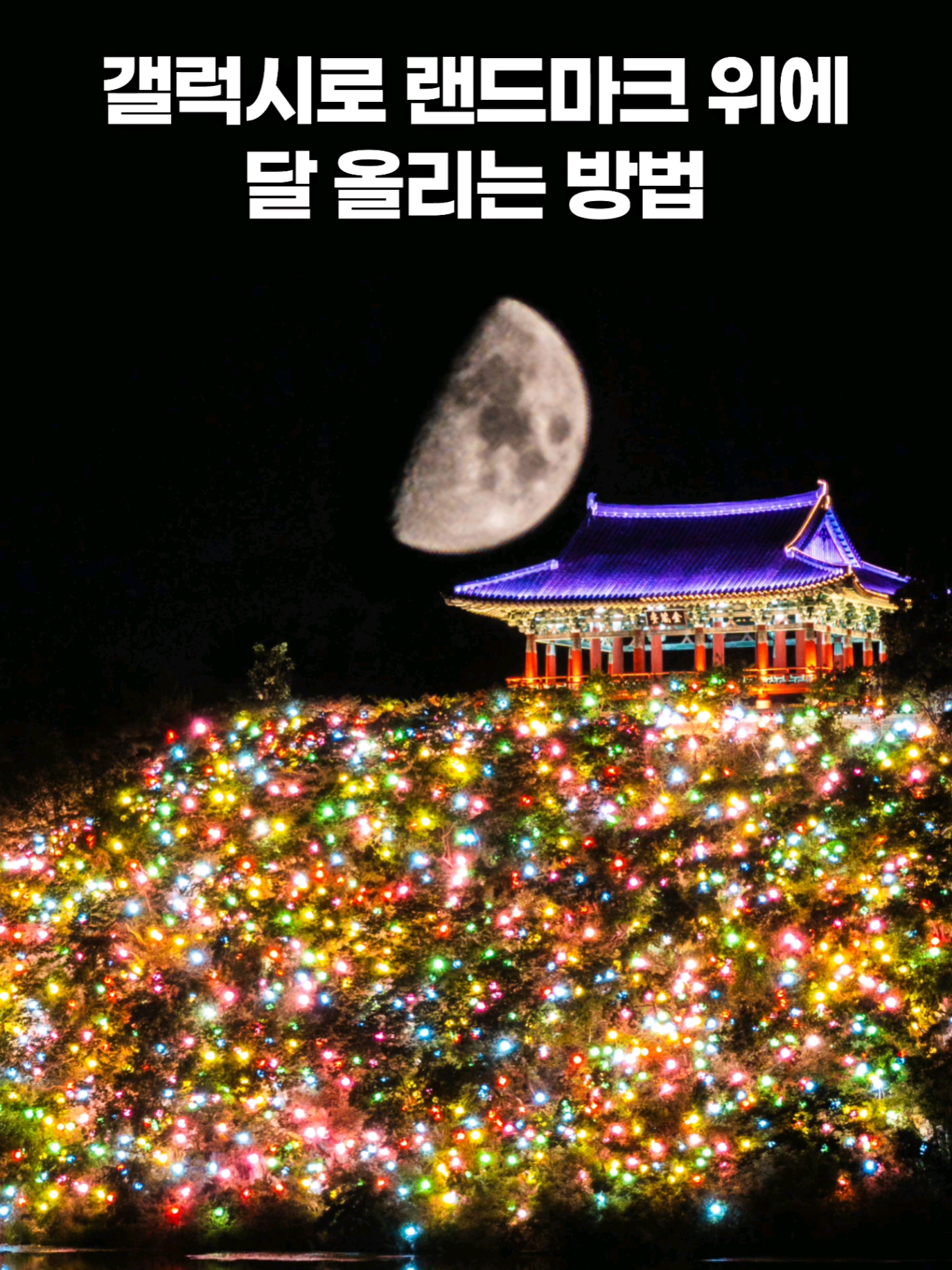@주니웨어 주니