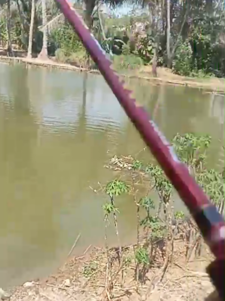 @erdin mancing