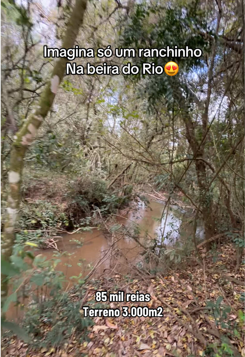 @fernando souza