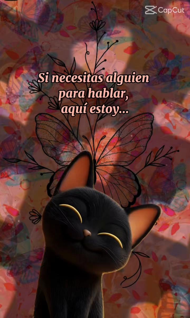 @🧀🐻0sita🐻🇲🇽