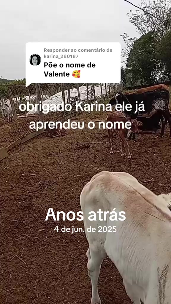 @Silvana Franco /vida na ro&ccedil;a