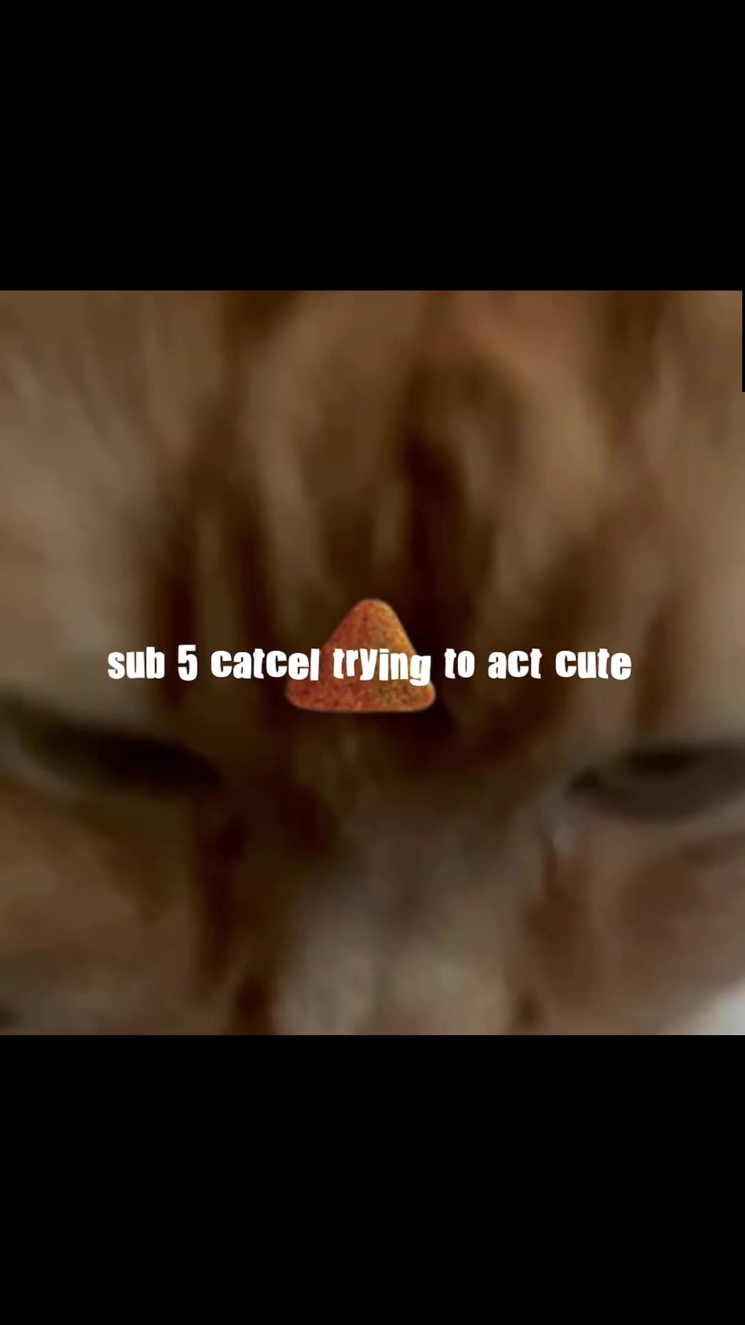 @fermentingdreggs
