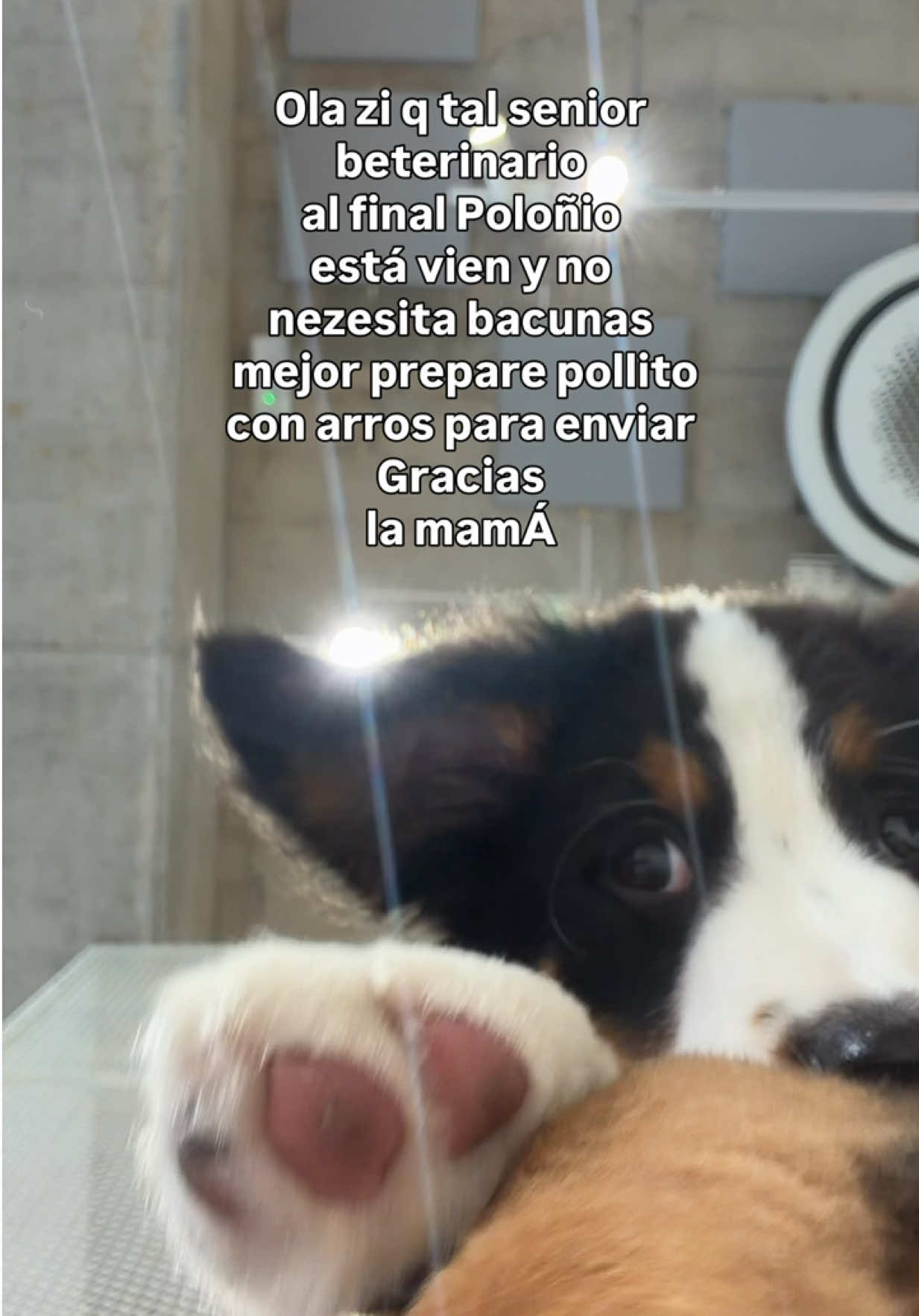 @Camiluchis :)