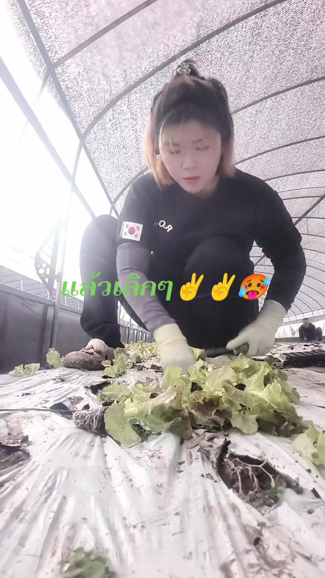 @รักแท้ แพ้คนห่างไกล