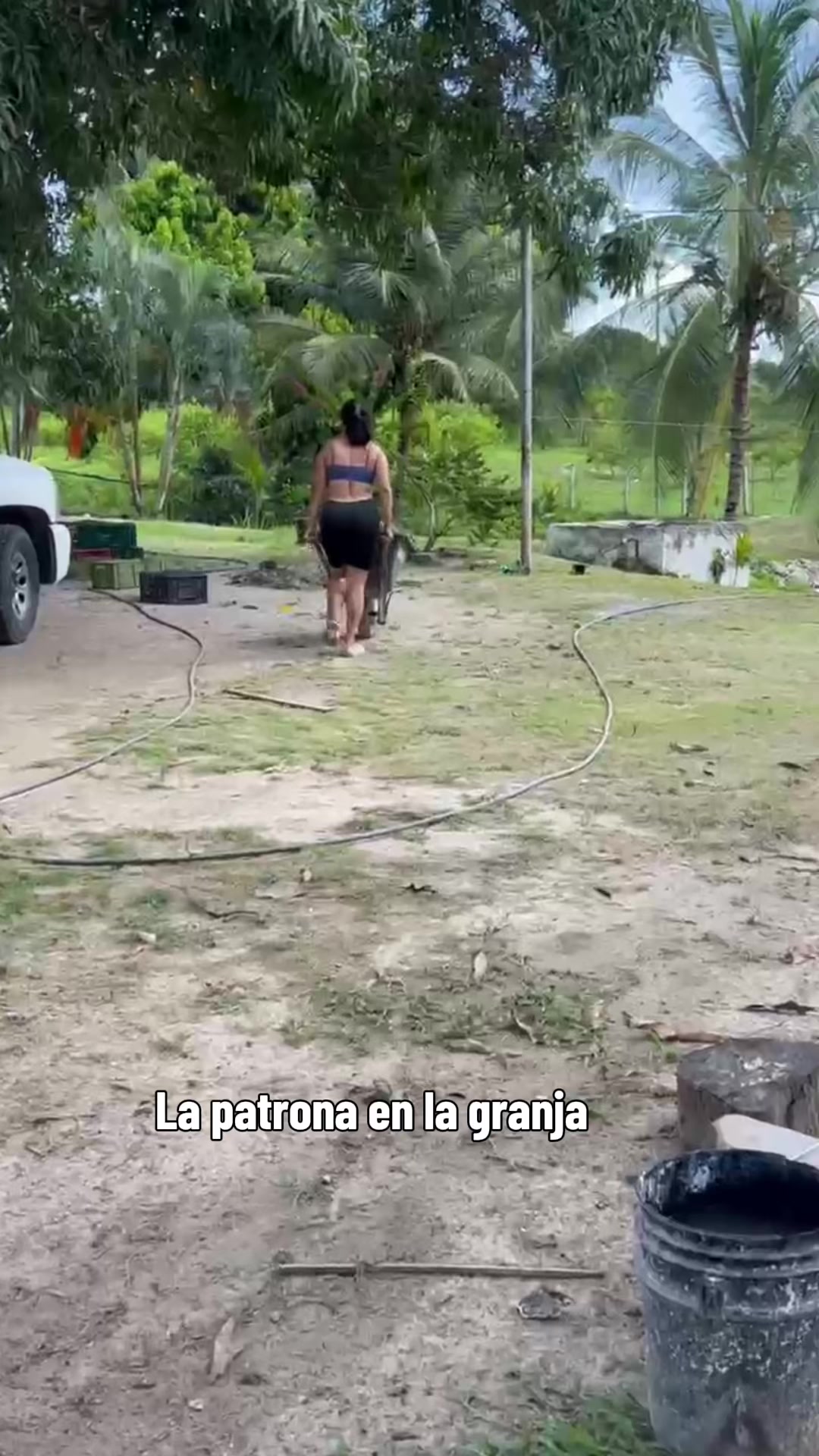 @Granjamascotalandiayaracuy