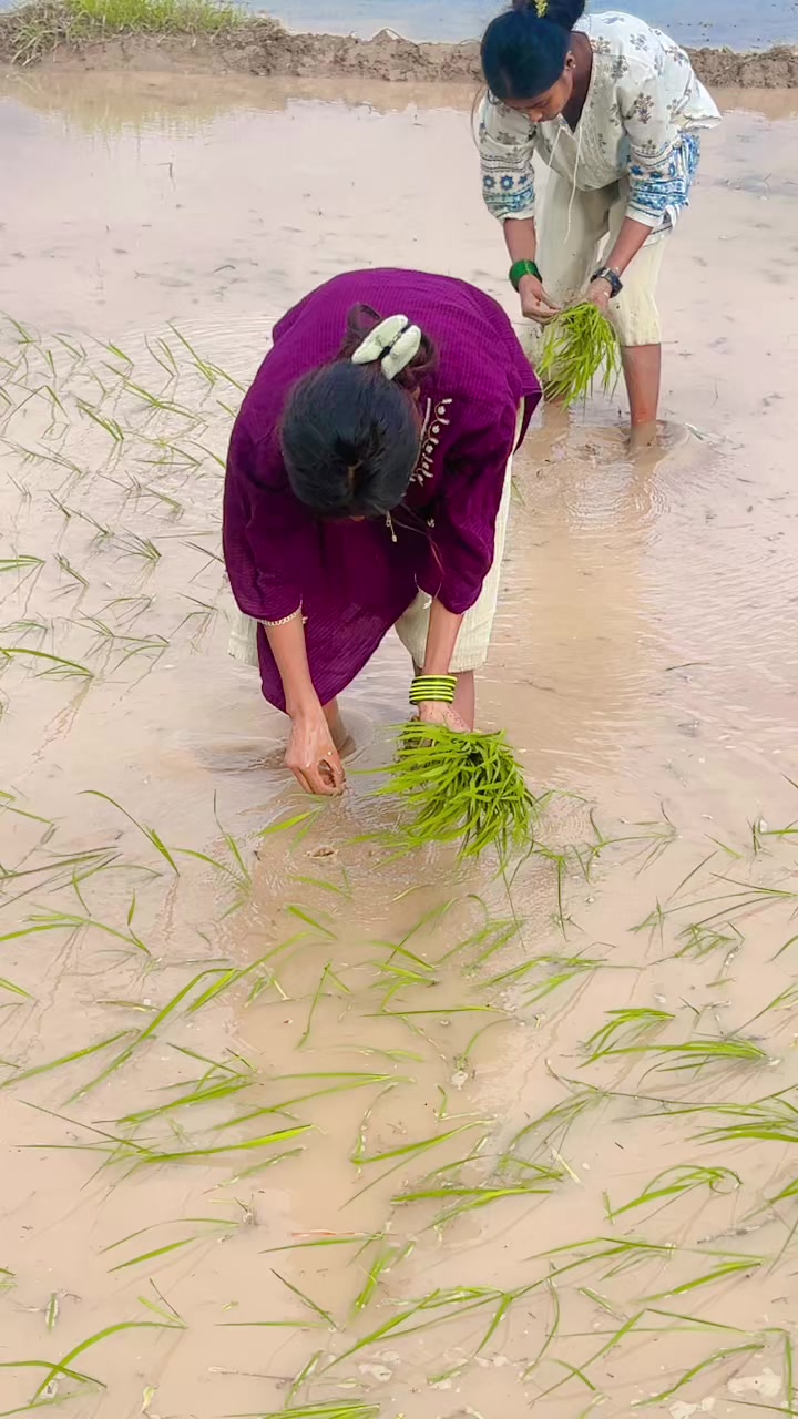 @GuDiyAaa 🧸