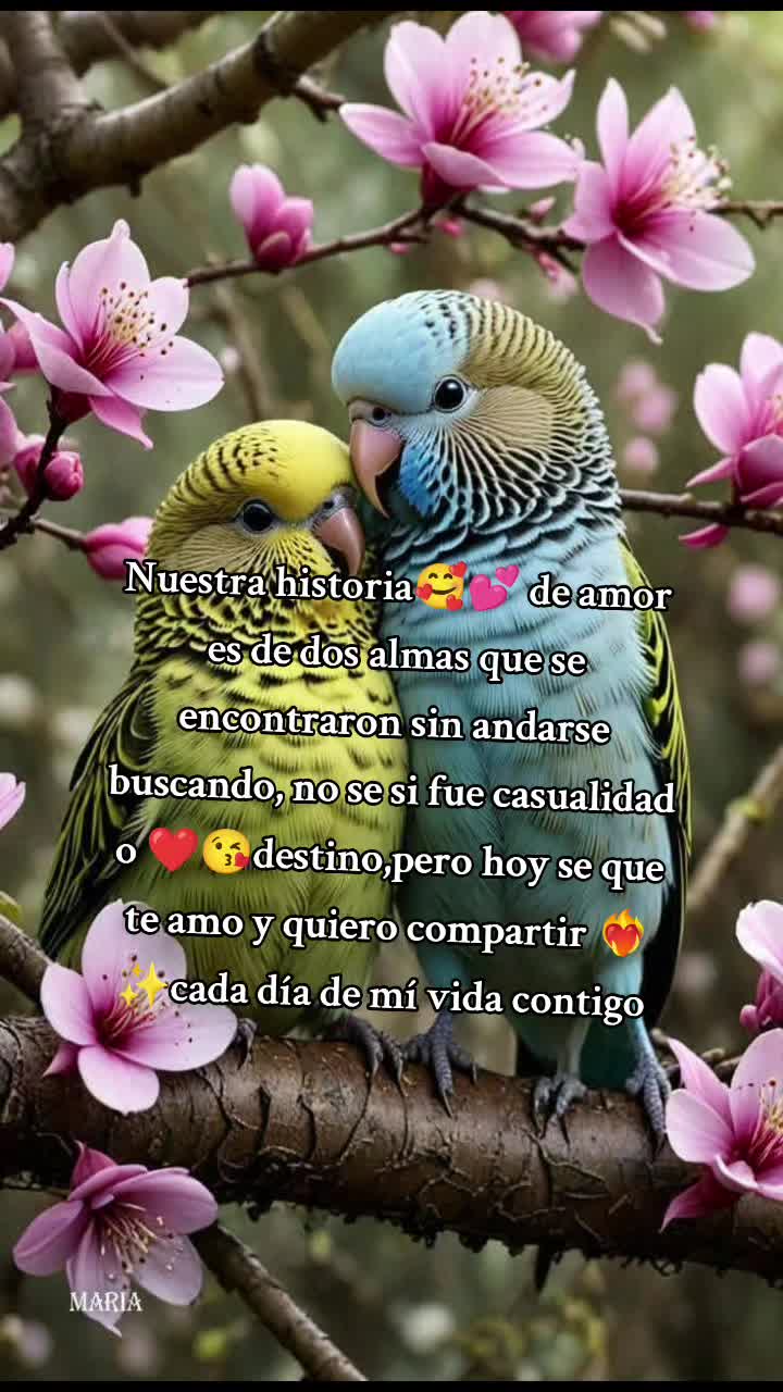 @✝️🍀amor de nadie 🐿️ 🇸🇻🦅🍀