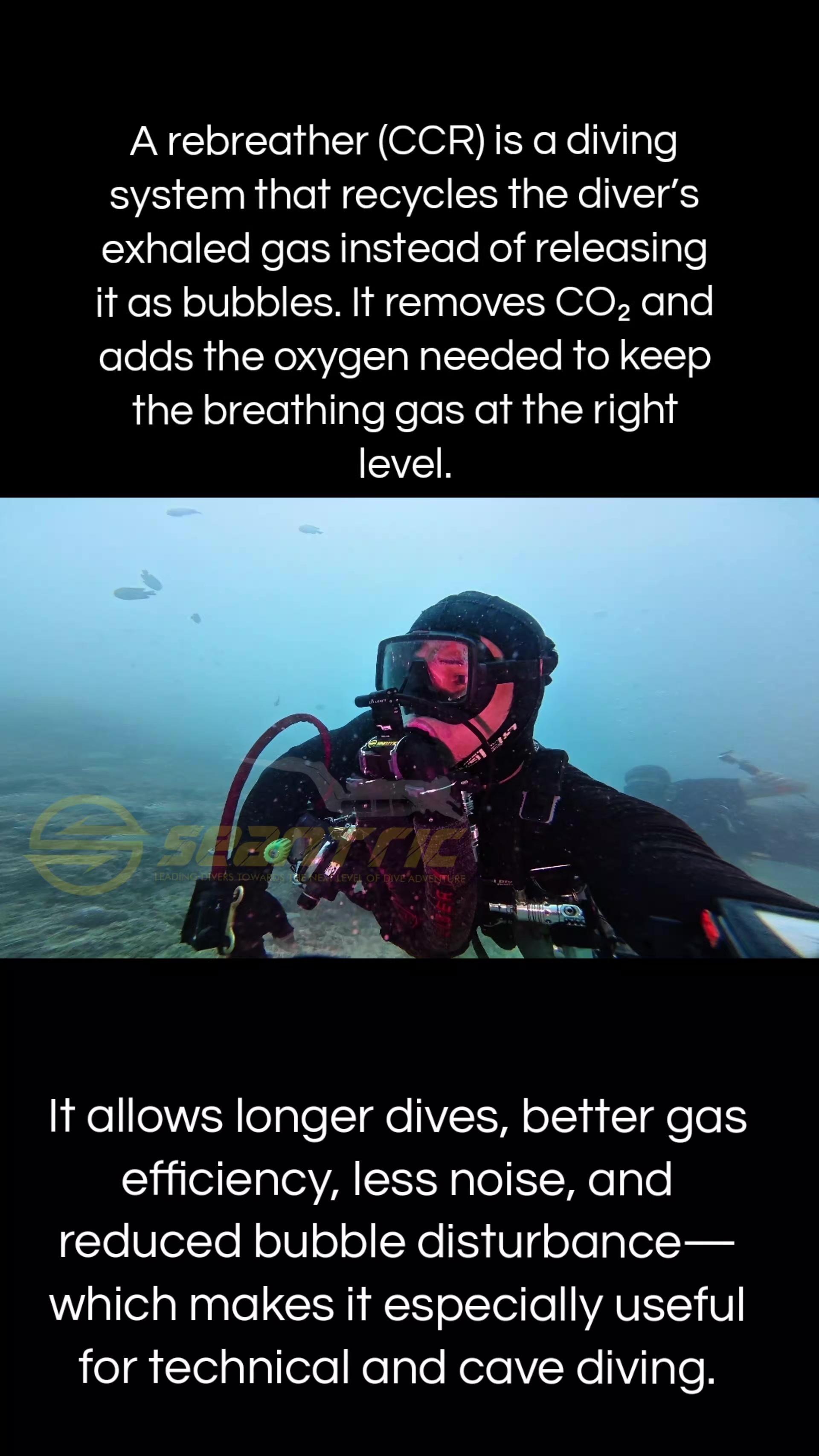@🇵🇭Seantric Diving🇦🇪