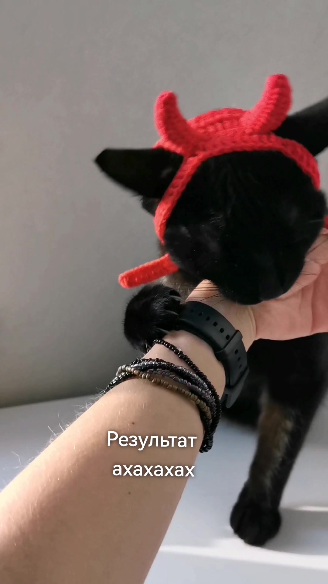 @Pupsova