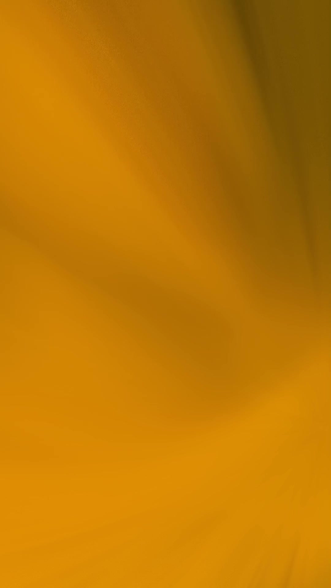 @Jap10